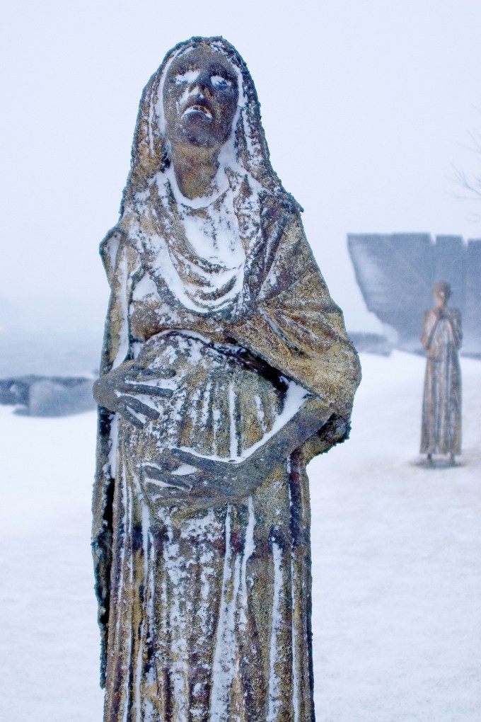 Ireland-Park-(Winter)-#1